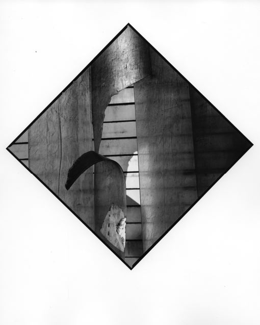 Torn (Pointer Series)