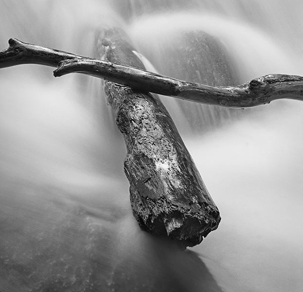 Crossed Branches