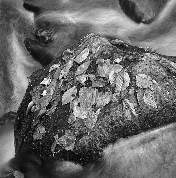 Surreal Rock Surreal Rock