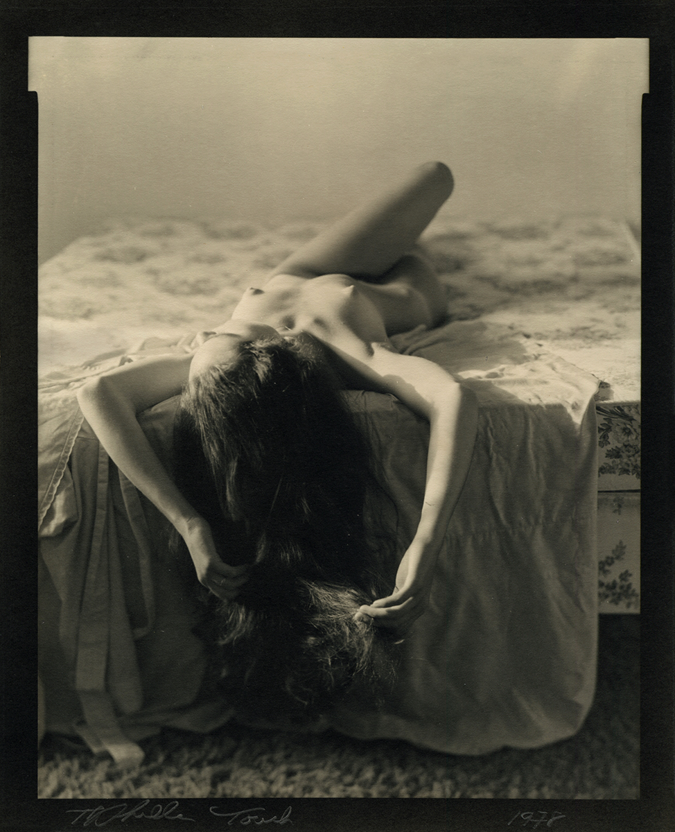 Touch, or Hair in Sunlight Touch, or Hair in Sunlight