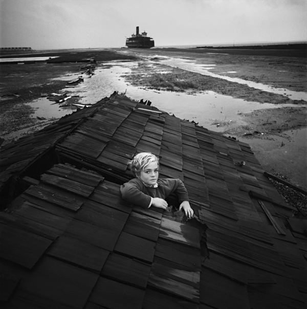 Flood Dreams