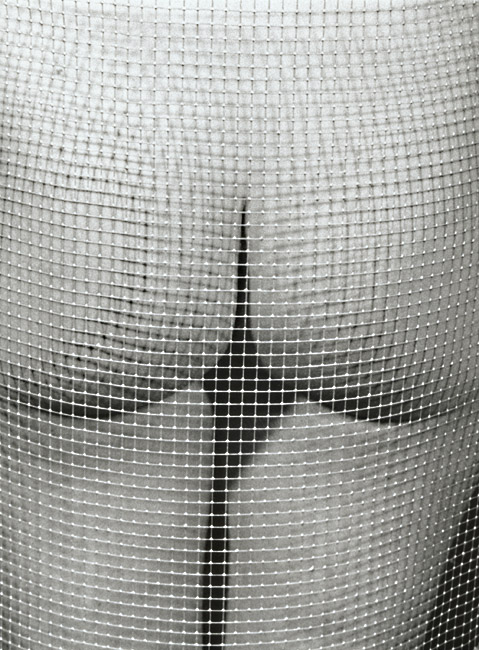 Untitled (Nude and Mesh)