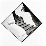 Arthur Tress - Pointer Series
Click for more Images