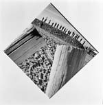 Arthur Tress - Pointer Series
Click for more Images