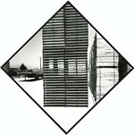 Arthur Tress - Pointer Series
Click for more Images