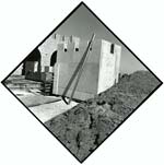 Arthur Tress - Pointer Series
Click for more Images