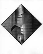 Arthur Tress - Torn (Pointer Series)
Click for more Images