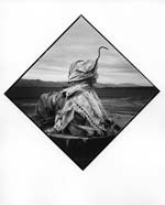 Arthur Tress - (Pointer Series)
Click for Details Arthur Tress - (Pointer Series)
Click for more Images