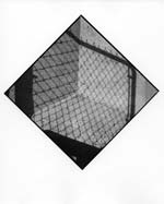 Arthur Tress - Fence Shadow (Pointer Series)
Click for more Images