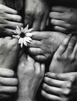 Michel Joly - Hands and Flower (Fleur aux Poings)
Click for more Images
