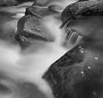 Russ Martin - Misty Water
Click for more Images