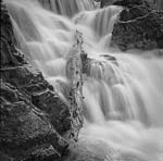 Russ Martin - Sheldon Falls and Log
Click for more Images