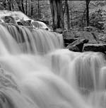 Russ Martin - Sheldon Falls
Click for more Images