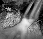 Russ Martin - Little Falls and Leaf
Click for more Images
