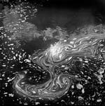 Marcia Schulman Martin - Swirling Foam
Click for more Images