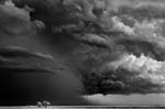Mitch Dobrowner - Trees and Clouds (from 'Storm' series)
Click for more Images