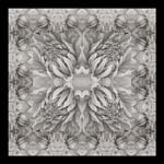 Russ Martin - Dahlia Grid I
Click for more Images