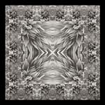 Russ Martin - Dahlia Grid II
Click for more Images