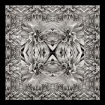 Russ Martin - Dahlia Grid III
Click for more Images