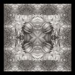 Russ Martin - Dahlia Grid V
Click for more Images