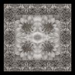 Russ Martin - Dahlia Grid VI
Click for more Images