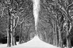 Stanko Abad�ic - Trees and Snow (from the Paris Cycle)
Click for more Images