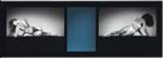 Robert Mapplethorpe - Mirror Image
Click for more Images