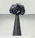 Robert Mapplethorpe - Carnations and Striped Vase
Click for more Images