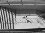 Stanko Abad�ic - Boy on a Railing
Click for more Images