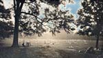 Jerry Spagnoli - Trees in Central Park
Click for more Images