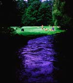 Joel D. Levinson - Untitled #109 (Green Grass and Dark Blue Waters)
Click for more Images