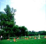 Joel D. Levinson - Untitled #91 (Nude Group in Landscape)
Click for more Images Joel D. Levinson - Untitled #91 (Nude Group in Landscape)
Click for more Images