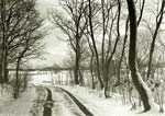 Petr Helbich - Trees and Road in Snow
Click for more Images