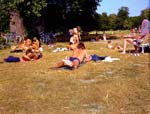 Joel D. Levinson - Untitled #70
Click for more Images