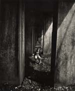 Arthur Tress - A Boy Sits under an Abandoned Railroad Track, Staten Island, NY
Click for more Images