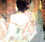 Lisa Holden - Thru the Wire
Click for more Images