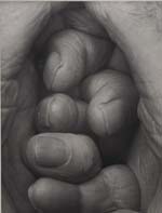 John Coplans - Self Portrait, Interlocking Fingers No. 19
Click for more Images
