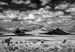 Mitch Dobrowner - Volcanic Field outside Caliente, NV
Click for more Images