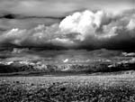 Mitch Dobrowner - Civilization, Los Angeles, CA
Click for more Images