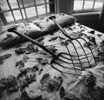 Arthur Tress - Making Leaves, Cold Spring, NY
Click for more Images