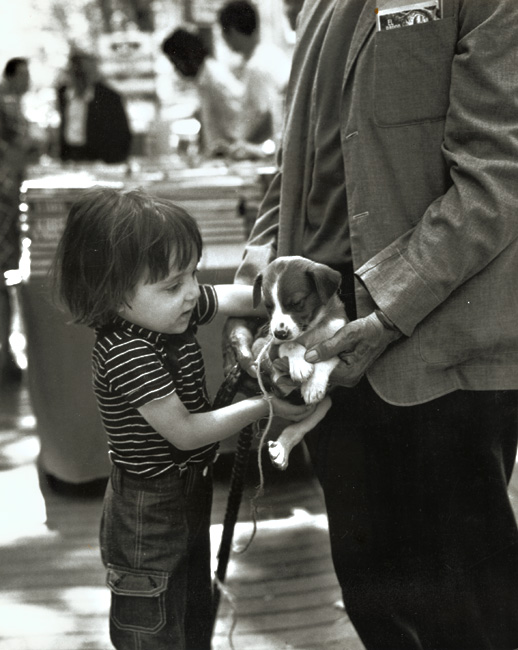 Boy with Puppy, Barcelona, Spain