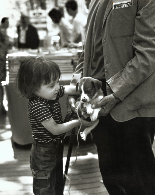 Boy with Puppy, Barcelona, Spain Boy with Puppy, Barcelona, Spain