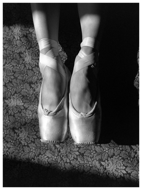 The Ballet Slippers
