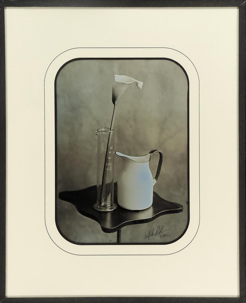 Lily & Pitcher 1