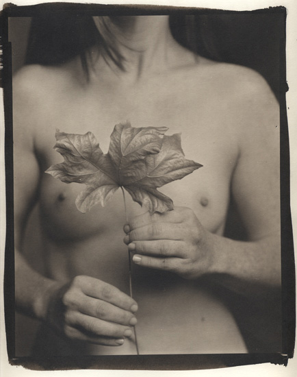 Maple Leaf and Female Nude Maple Leaf and Female Nude