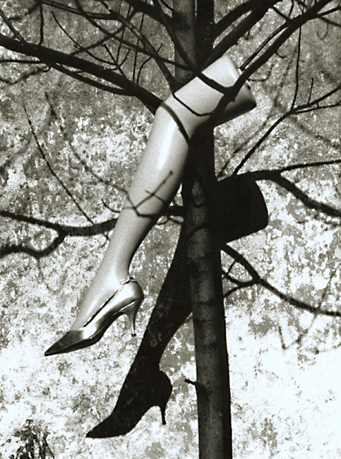 Le Fruit Defendu (The Forbidden Fruit) Le Fruit Defendu (The Forbidden Fruit)