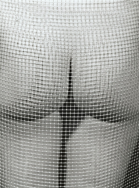Untitled (Nude and Mesh) Untitled (Nude and Mesh)