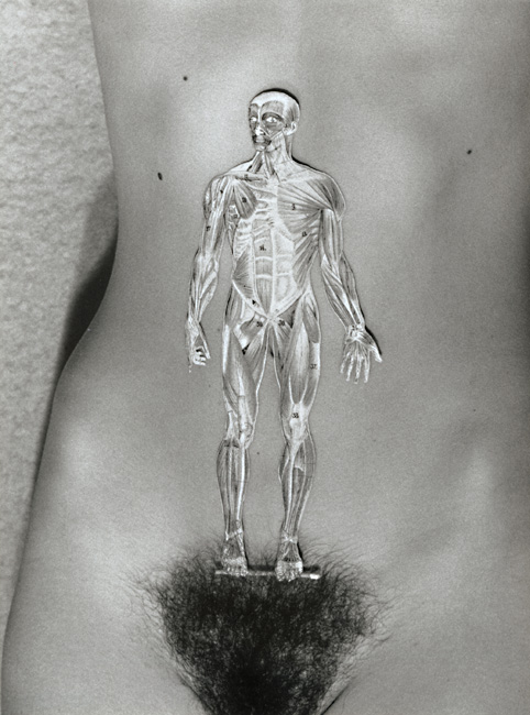 Le tremplin Le tremplin