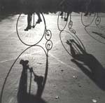 Stanko Abadic - Three High Wheelers
Click for more Images