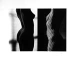 Ralph Gibson - Two Nudes (Diptych)
Click for more Images